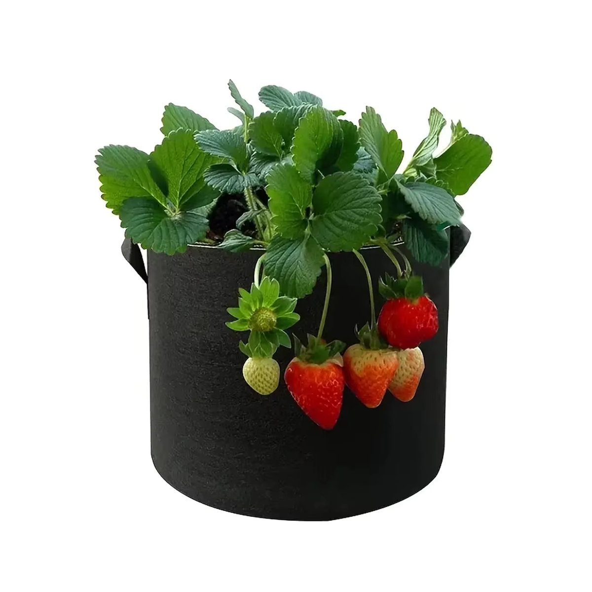 5er Set Vlies-Pflanzenwachstumsbeutel mit Griffen, robuste Stoff-Blumentöpfe für Blumen und Obstbäume - Bild 3