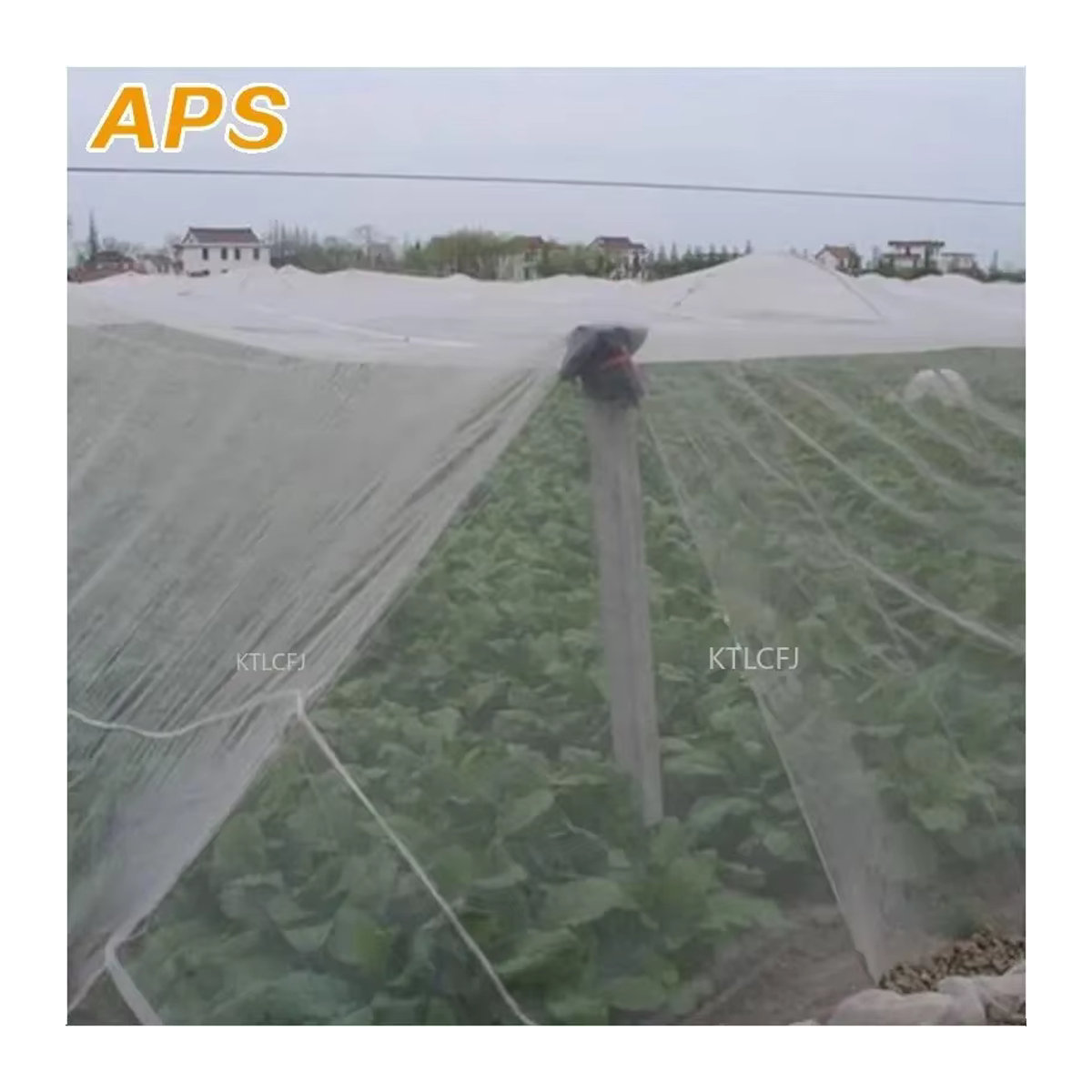 5m Insektenschutznetz aus PE-Nylon mit 80 Mesh zur Schädlingsbekämpfung und zum Pflanzenschutz für Obstbäume und Gartenpflanzen - Bild 3