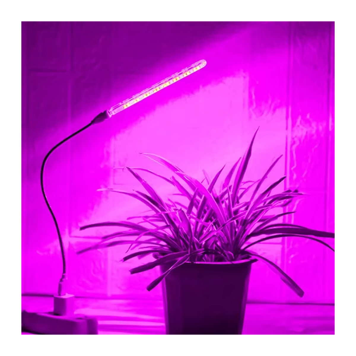 5V Vollspektrum LED Pflanzenlampe mit flexiblem Schlauch und USB-Anschluss für Gewächshäuser und Hydroponik - Bild 2