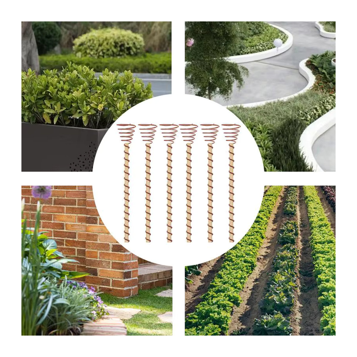 6 Stück Elektrokultur-Pflanzenstecker aus Kupfer für den Garten und Gemüseanbau - Bild 5