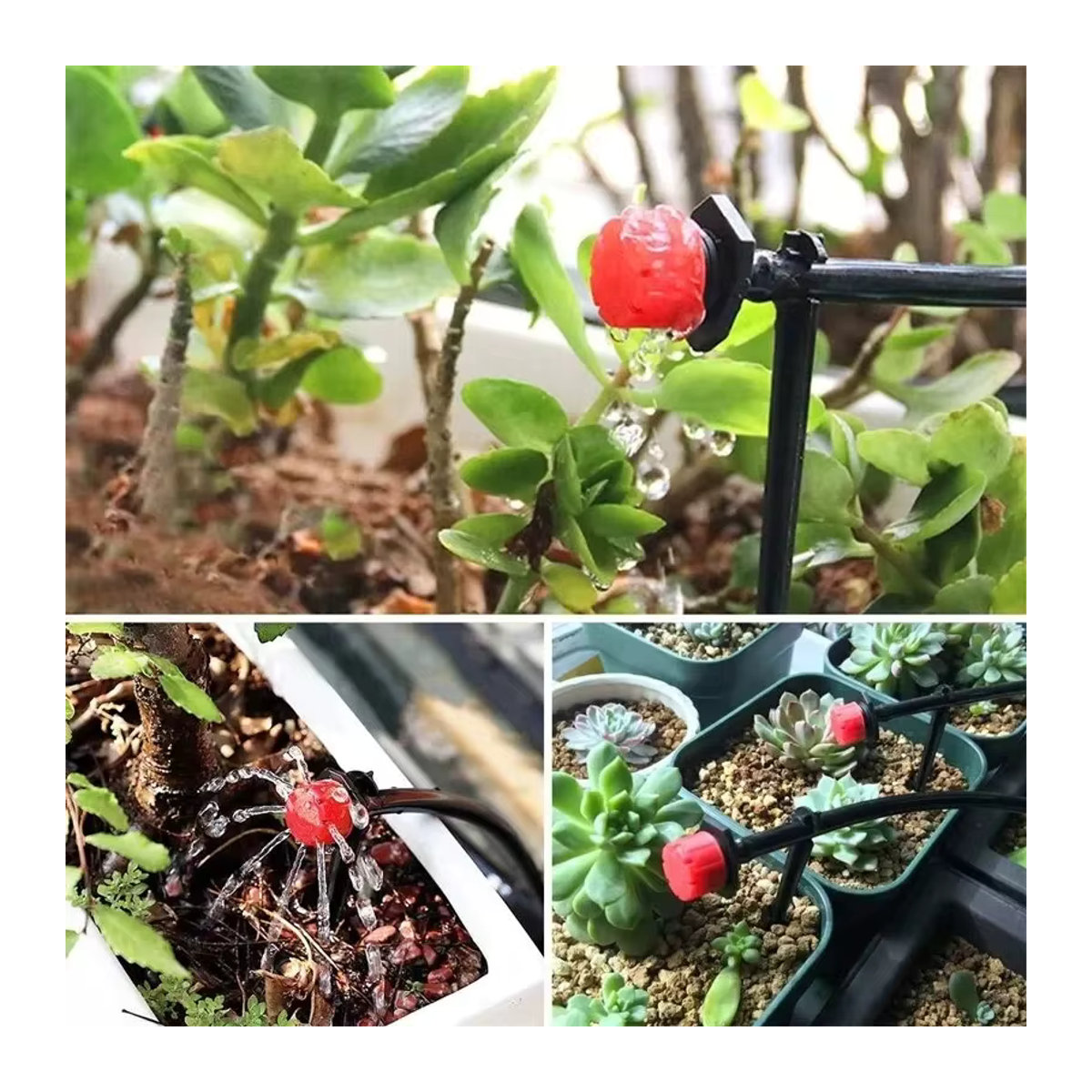 8-Loch-Automatik-Sprinklerdüse mit einstellbarem Durchflussregler in Rot für Gartenbewässerung und Topfpflanzen - Bild 5