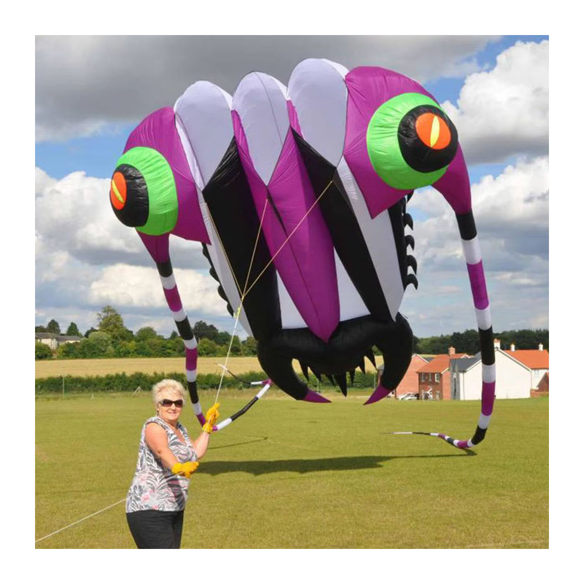 9KM DWLIFE Trilobit Aufblasbarer Show-Drachen aus Ripstop-Nylon für Festivals und Events mit 16 m2 Fläche - Bild 3