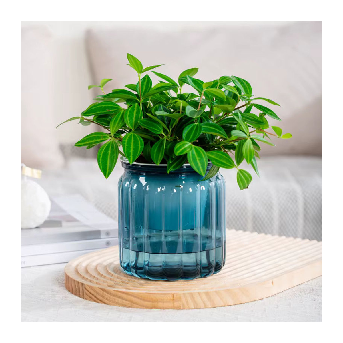 ACRDDK Blumentopf aus Kunststoff mit Selbstbewässerung für Sukkulenten und Bonsai, rund und mehrfarbig gestreift, moderne Tischdekoration - Bild 2