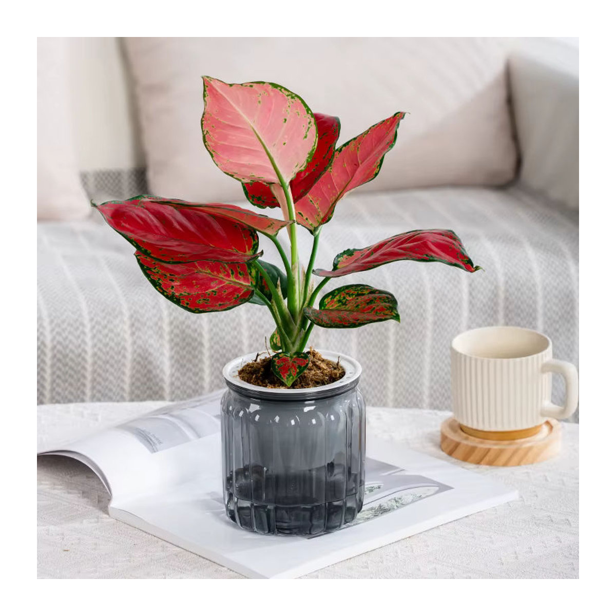 ACRDDK Blumentopf aus Kunststoff mit Selbstbewässerung für Sukkulenten und Bonsai, rund und mehrfarbig gestreift, moderne Tischdekoration - Bild 3