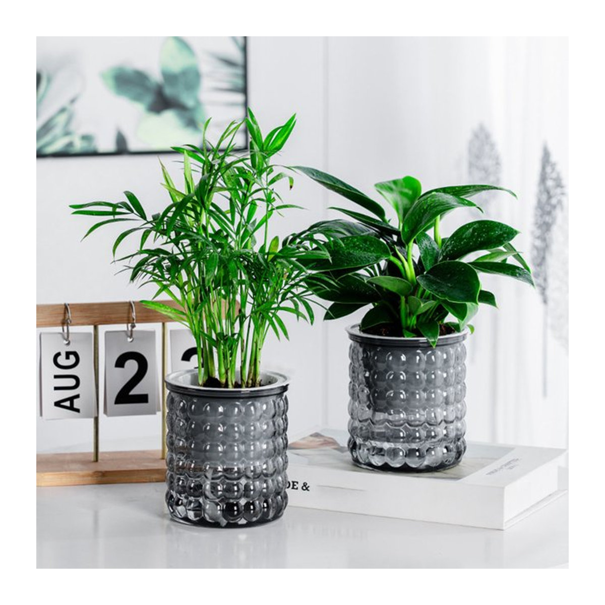 ACRDDK Selbstbewässerungs-Pflanztopf aus Kunststoff und Glas in Grau, Modernes Geometrisches Design für Hydrokultur, Sukkulenten und Bonsai - Bild 1