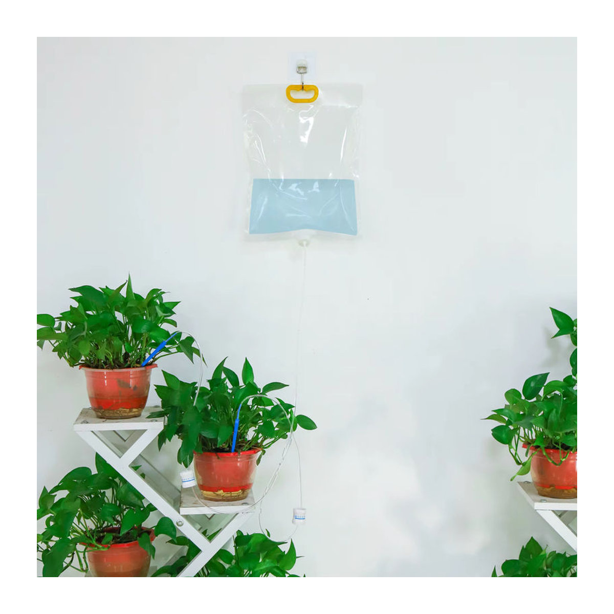 Adhere To Fly Automatischer Tropfbewässerungsbeutel in Blau mit einstellbarem Durchfluss für Blumentöpfe und Gartenarbeit - Bild 2