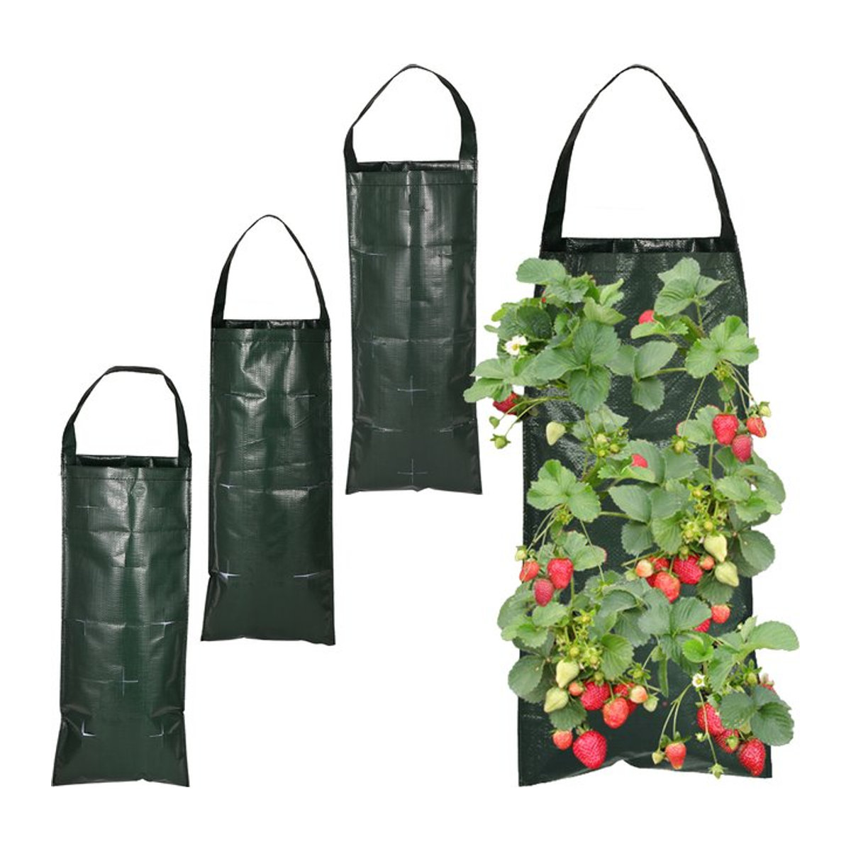 Adhere To Fly Vertikale Pflanztasche für Erdbeeren und Gemüse mit 6/8/10 Löchern für Indoor und Outdoor - Bild 1