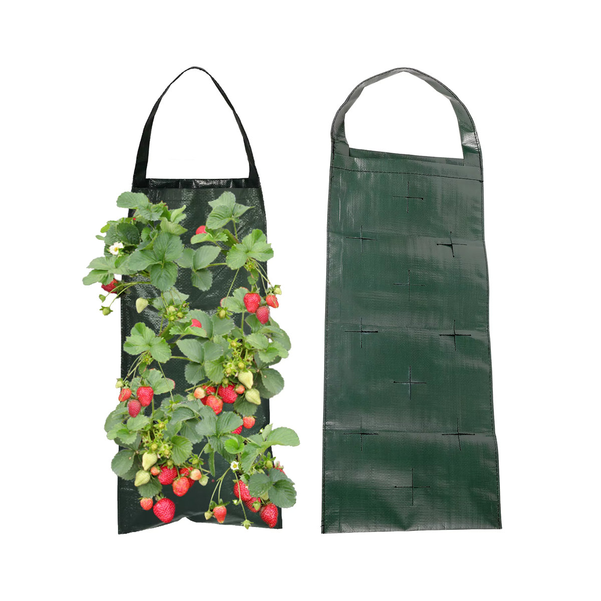 Adhere To Fly Vertikale Pflanztasche für Erdbeeren und Gemüse mit 6/8/10 Löchern für Indoor und Outdoor - Bild 3