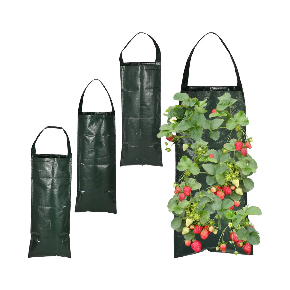 Adhere To Fly Vertikale Pflanztasche für Erdbeeren und Gemüse mit 6/8/10 Löchern für Indoor und Outdoor - Bild 6