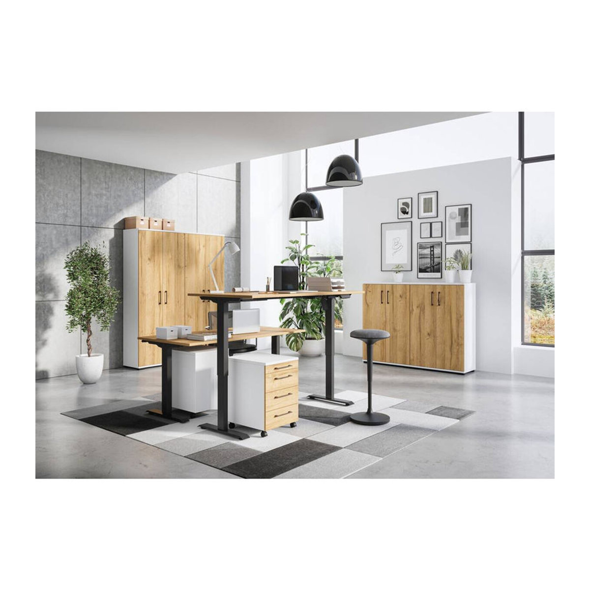 Aktenschrank Profi 2.0 Germania mit 2 Einlegeböden und 3 Ordnungen, B/T/H: 80 x 40 x 123 cm, Grandson-Eiche-Nachbildung/Weiß - Bild 3