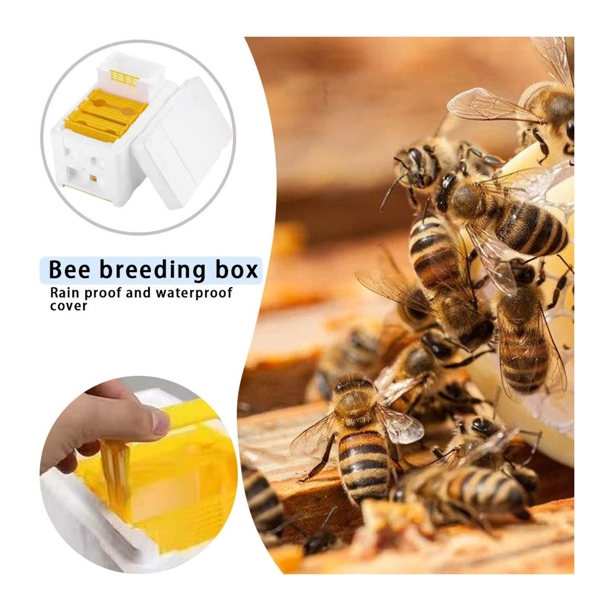 Alloet Bee Hive Schaum Bienenzucht Box für Imker zur Bienenhaltung und Bestäubung - Bild 3