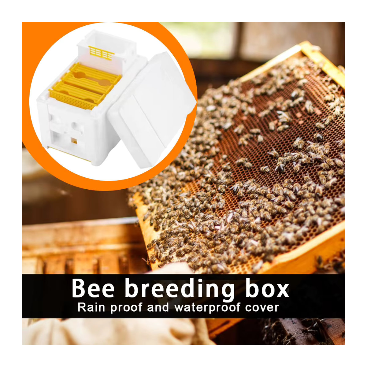 Alloet Bee Hive Schaum Bienenzucht Box für Imker zur Bienenhaltung und Bestäubung - Bild 4