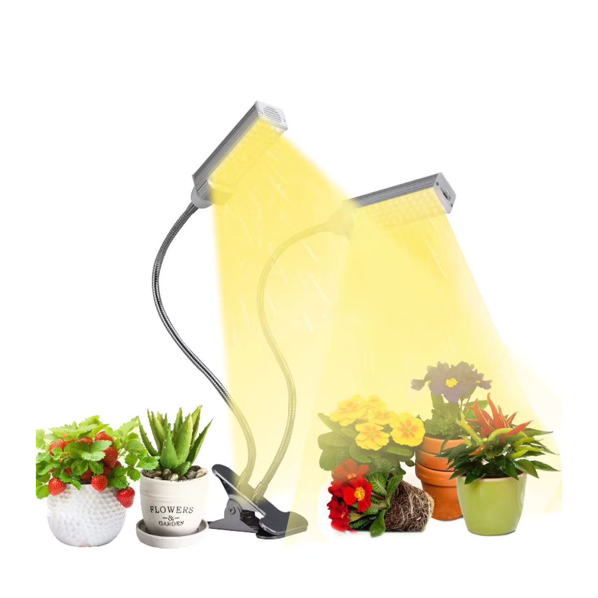 ALMercury Minimalistisches Pflanzenwachstumslicht mit dimmbarer warmweißer LED für Sukkulenten und Blumen im Innenbereich - Bild 2