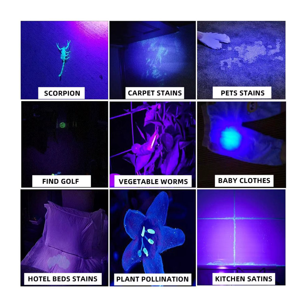 Alonefire Schwarzlicht LED Taschenlampe mit 365 nm Wellenlänge für Fluoreszenz-Untersuchungen von Tinte, Urin und Geld - Bild 6