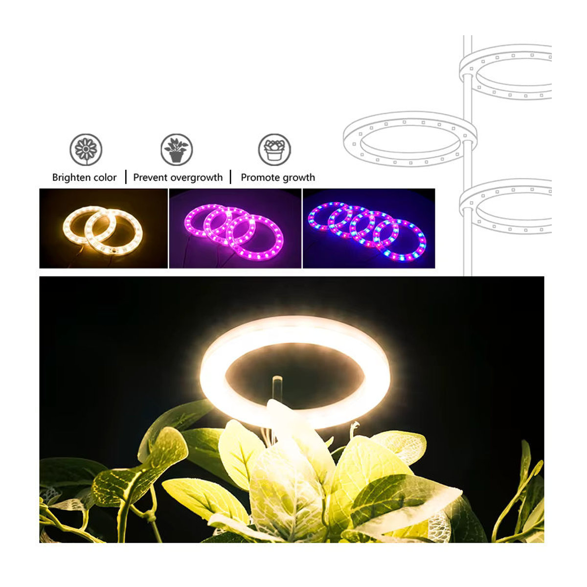 Antenso LED-Vollspektrum-Pflanzenwachstumslicht mit USB-Anschluss, höhenverstellbar und dimmbar mit Timer für Zimmerpflanzen und Kräuter - Bild 3