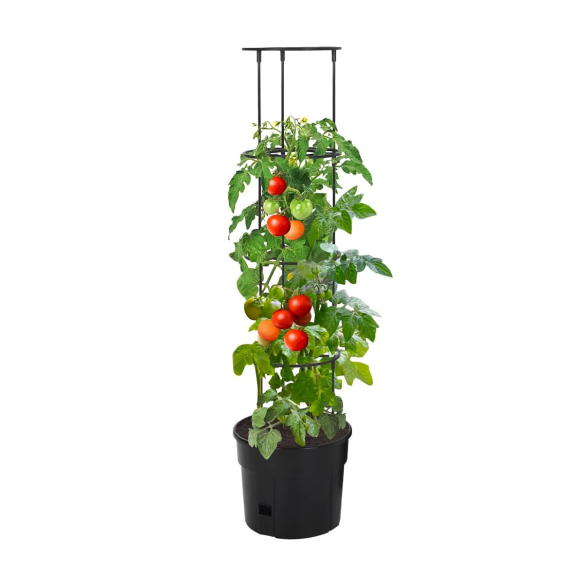 Anthrazitfarbener Tomatenturm aus Polypropylen für deine Außendekoration, Höhe: 115 cm, Durchmesser: 29,5 cm - Bild 2