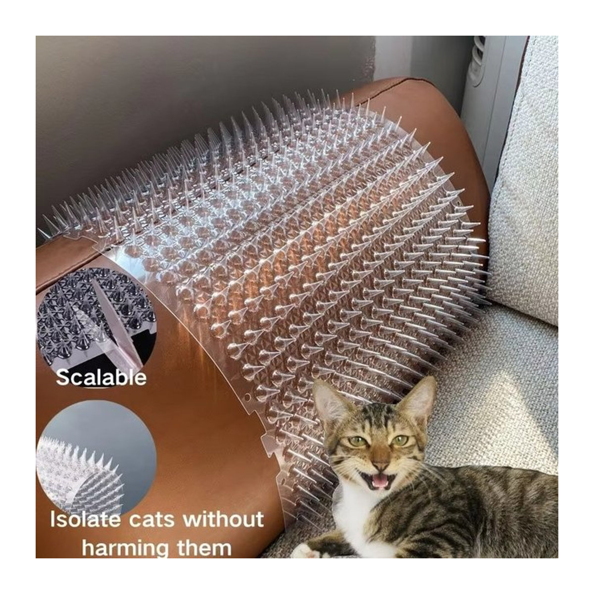 Anti-Katzen und Anti-Hunde Matte aus Kunststoff in Schwarz zum Schutz deiner Anlage - Bild 1