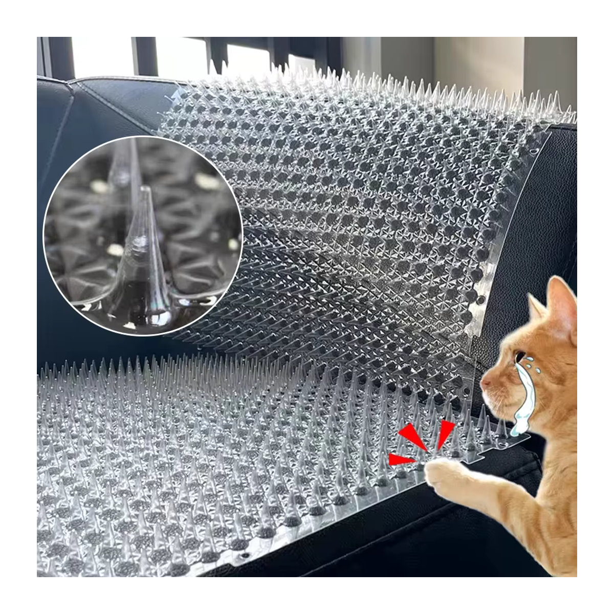 Anti-Katzen und Anti-Hunde Matte aus Kunststoff in Schwarz zum Schutz deiner Anlage - Bild 6
