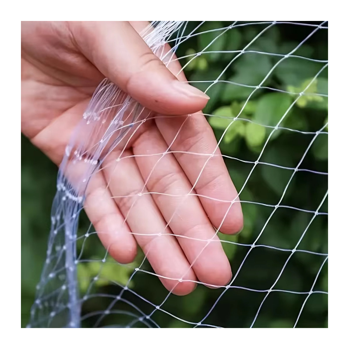 Anti-Vogel-Netz aus transparentem PP-Material für Trauben, Gewächshäuser, Fischteiche und Obstgärten, Farbe: Weiß - Bild 4