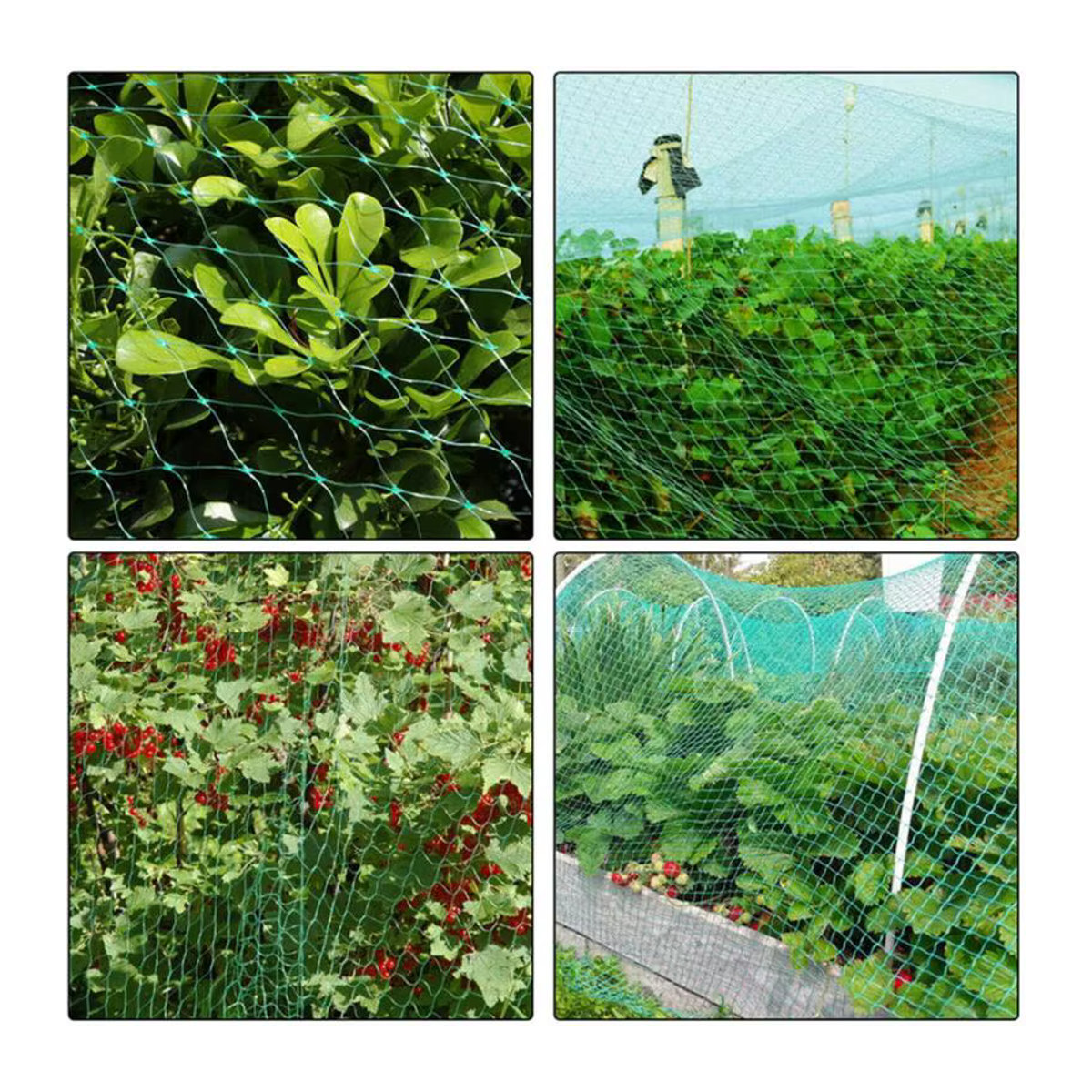 Anti-Vogelschutz Netz aus Mesh für Garten, Pflanzen, Teich und Pool - Bild 5
