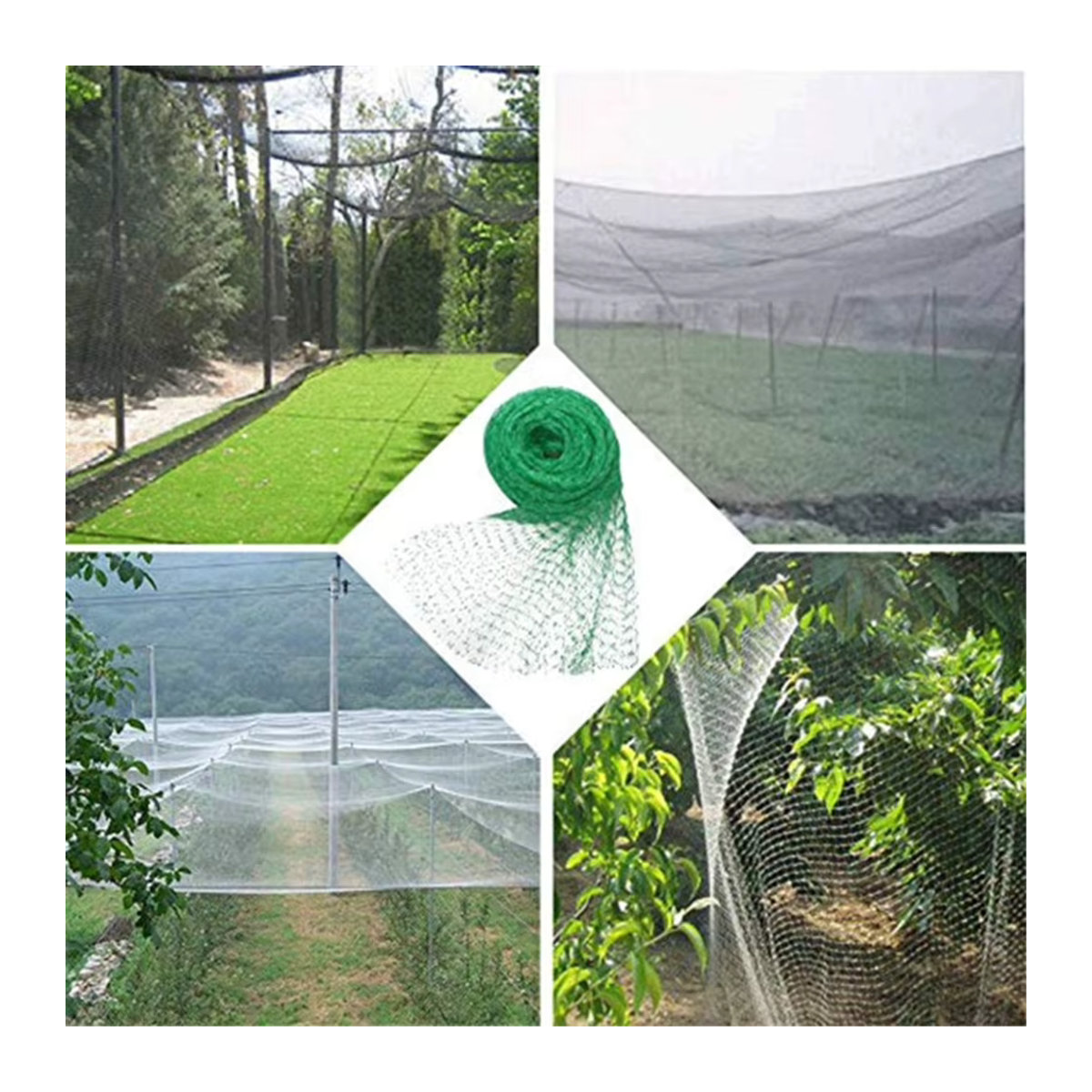 APWIKOGER Anti-Vogel-Netz als vielseitiger Obstschutz und Gartenschutz für Pflanzen, Gemüse und Teiche - Bild 5