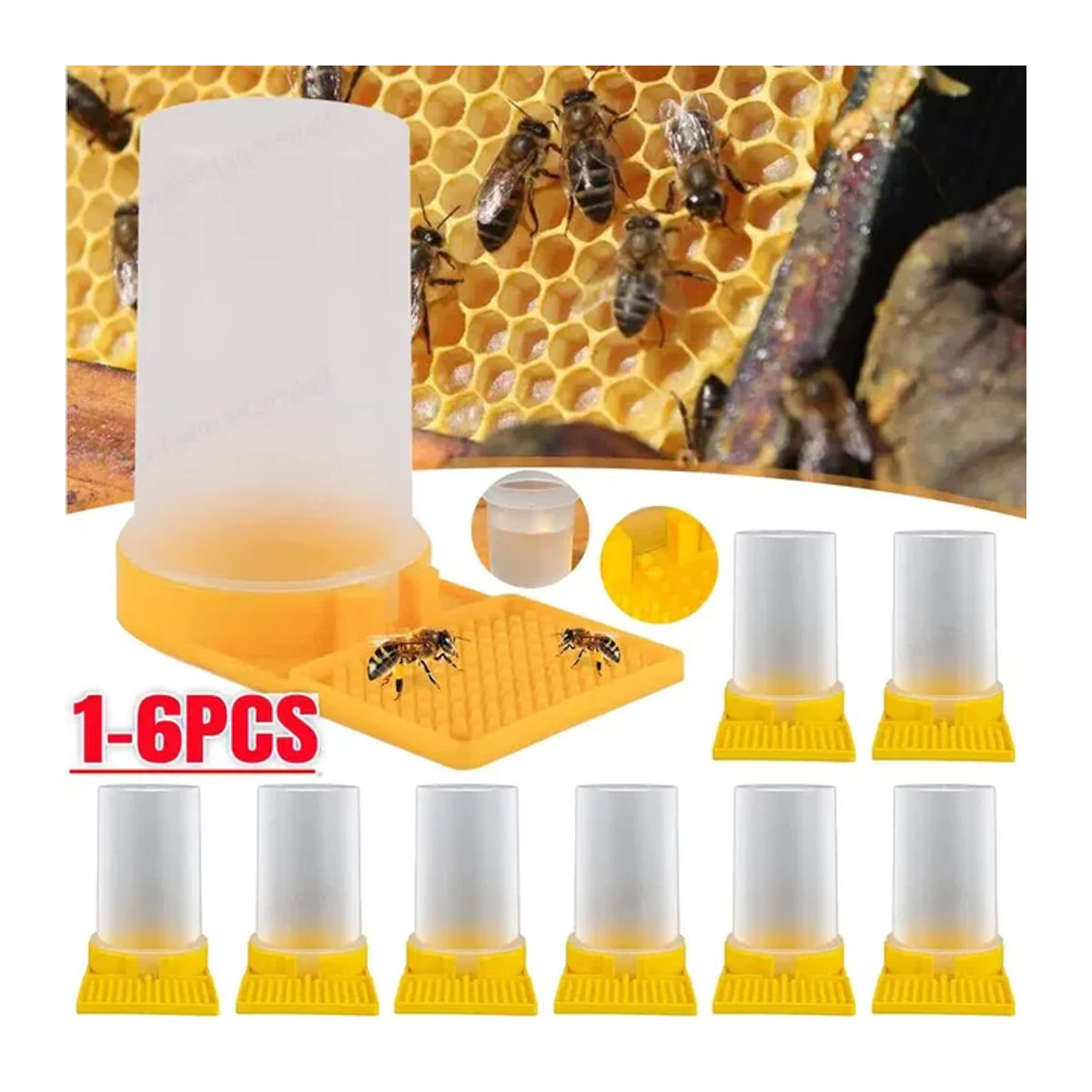 APWIKOGER Bee Feeder Bienenzucht Trinkwasser-Fütterungswerkzeug für Honigbienen - Bild 1