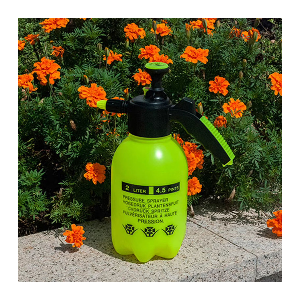 APWIKOGER Handdruck-Wassersprüher 2L mit einstellbarer Düse in Grün für Garten und Desinfektion - Bild 2