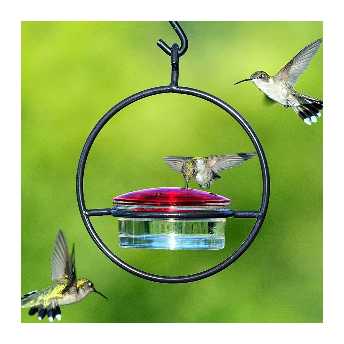 APWIKOGER Hängender Kolibri-Futterspender mit roter Glasschale für die Gartendekoration - Bild 2