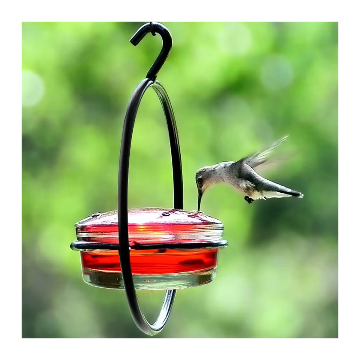 APWIKOGER Hängender Kolibri-Futterspender mit roter Glasschale für die Gartendekoration - Bild 4