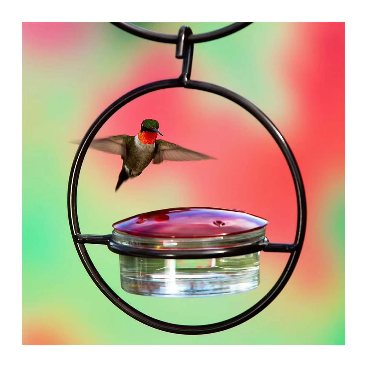 APWIKOGER Hängender Kolibri-Futterspender mit roter Glasschale für die Gartendekoration - Bild 5