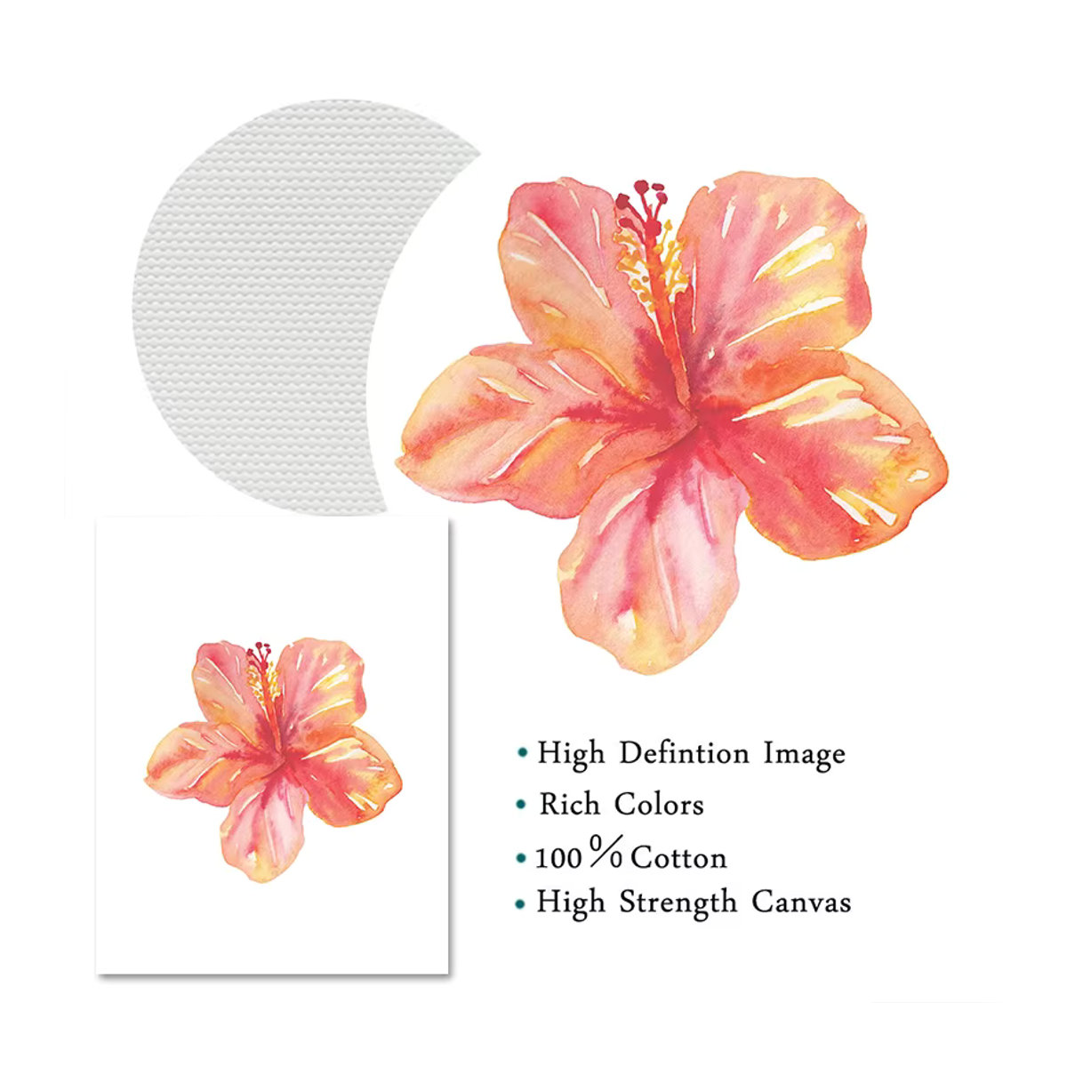 Aquarell-Poster mit tropischen Blumen Hibiskus und Frangipani von Potdemiel als Leinwanddruck in Weiß für deine Wanddekoration - Bild 2
