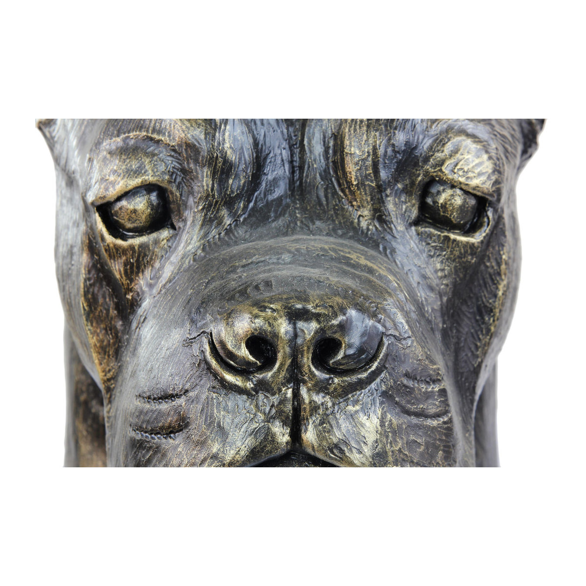 Art-Dog Cane Corso Hundebüste aus Kunstharz in Braun zur Dekoration für Garten und Wohnzimmer - Bild 5