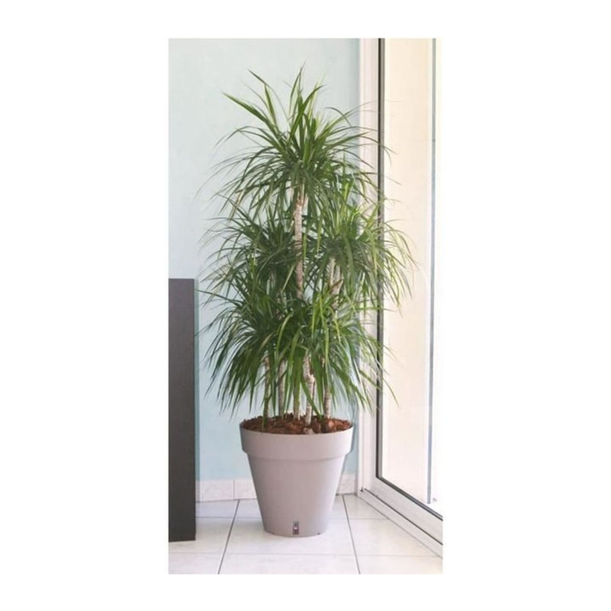 Atape Riviera Loft Blumentopf mit Wasserreservoir, rund, grau, Durchmesser: 50 cm, Höhe: 46 cm - Bild 1