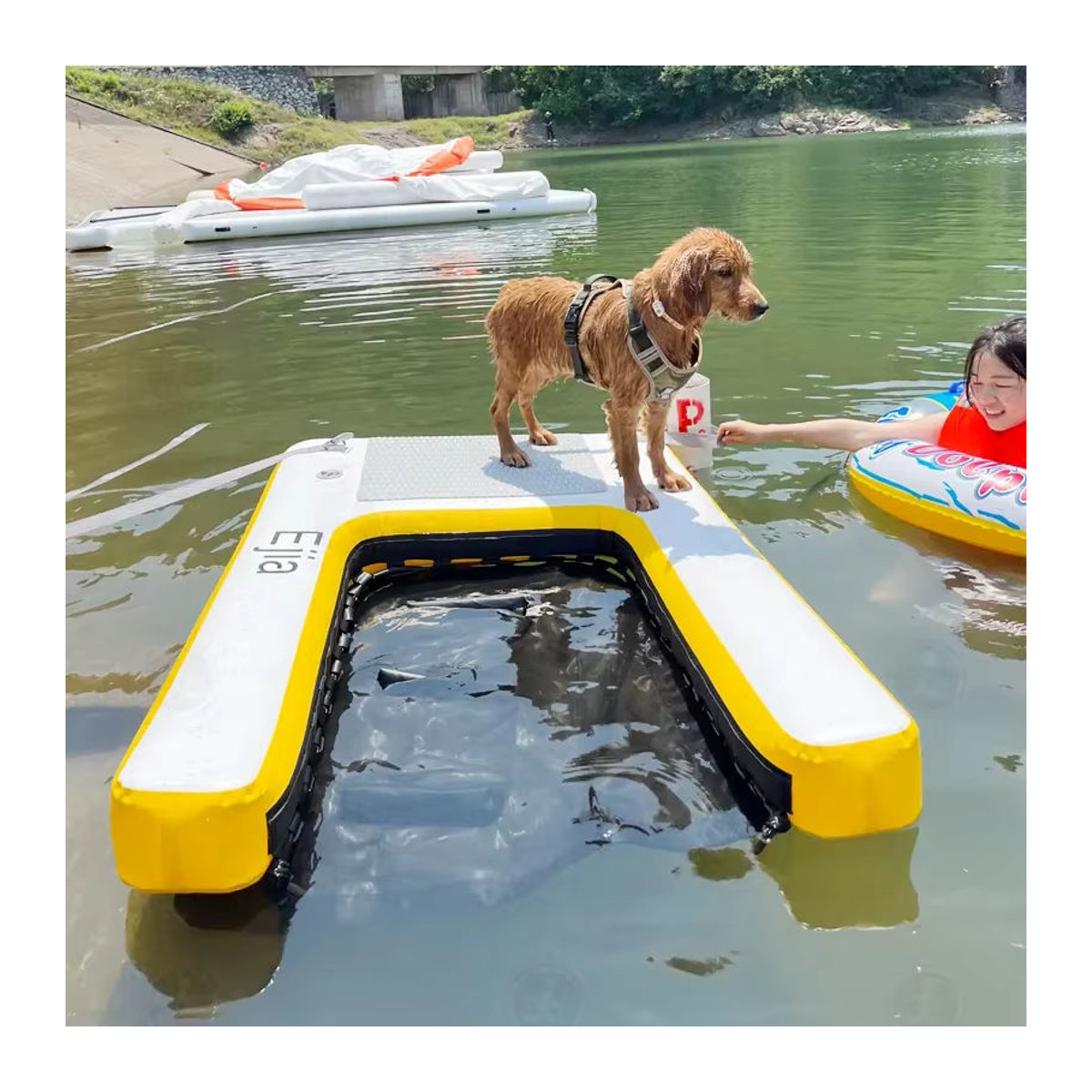 Aufblasbare Hunde-Poolleiter und Schwimmrampe für Boote und Docks mit hoher Stabilität - Bild 3