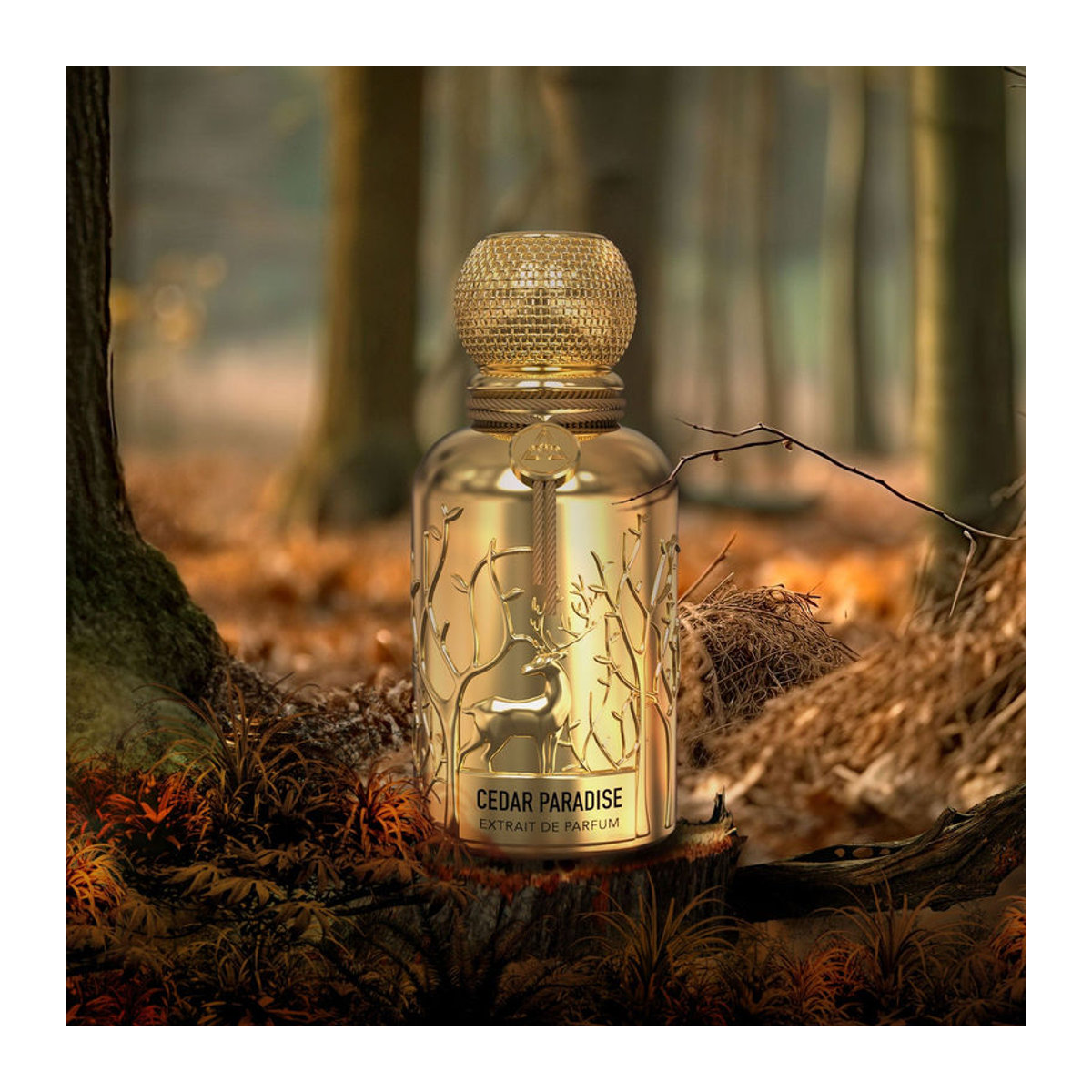 Auraa Desire Cedar Paradise Extrait de Parfum Gold 100ml - Bild 4