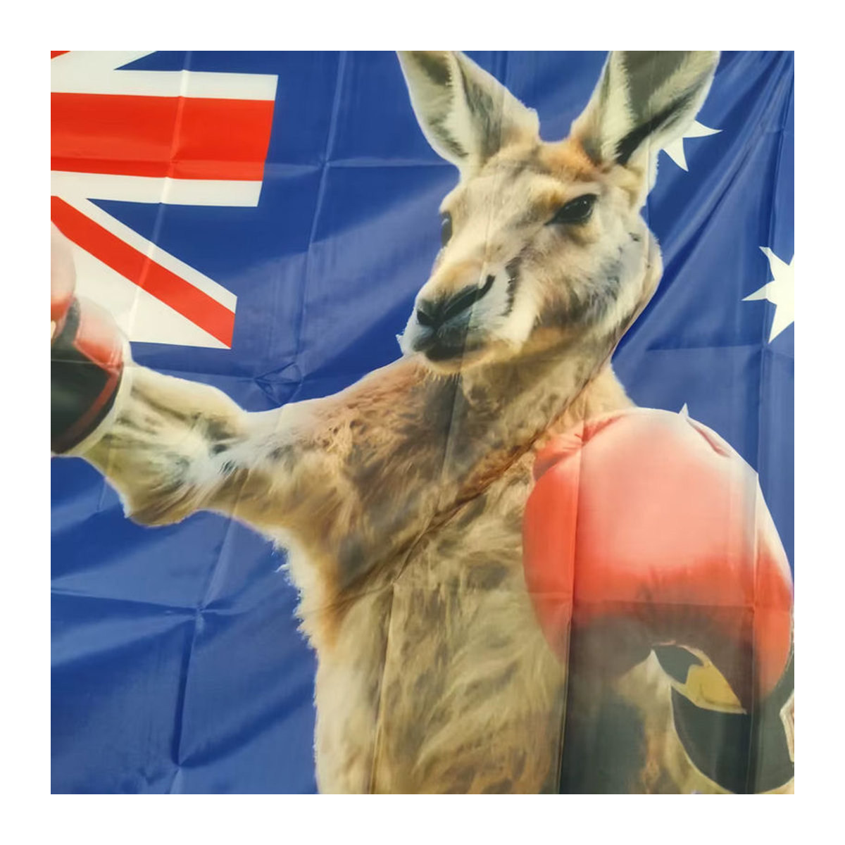 Australien Flagge mit Känguru-Motiv aus Textil, mehrfarbig, B: 150 cm, H: 90 cm - Bild 3