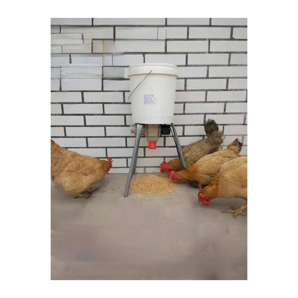 Automatischer Hühnerfutterspender aus Kunststoff mit intelligenter Zeitsteuerung für Hühner, Tauben und Enten - Bild 2