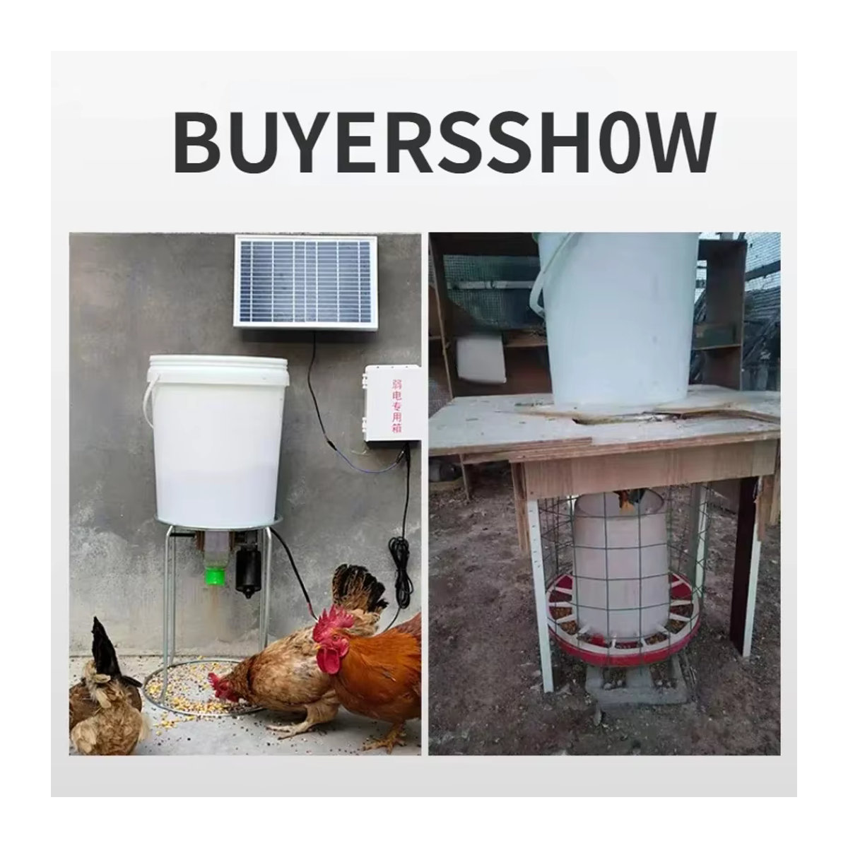 Automatischer Hühnerfutterspender aus Kunststoff mit intelligenter Zeitsteuerung für Hühner, Tauben und Enten - Bild 4