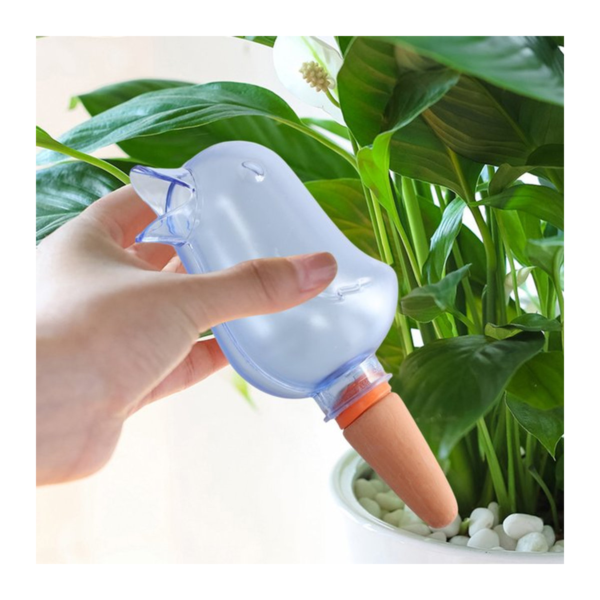 Automatischer Vogel-Wasser-Dispenser zur Selbstbewässerung für Topfpflanzen, 200 ml - Bild 1