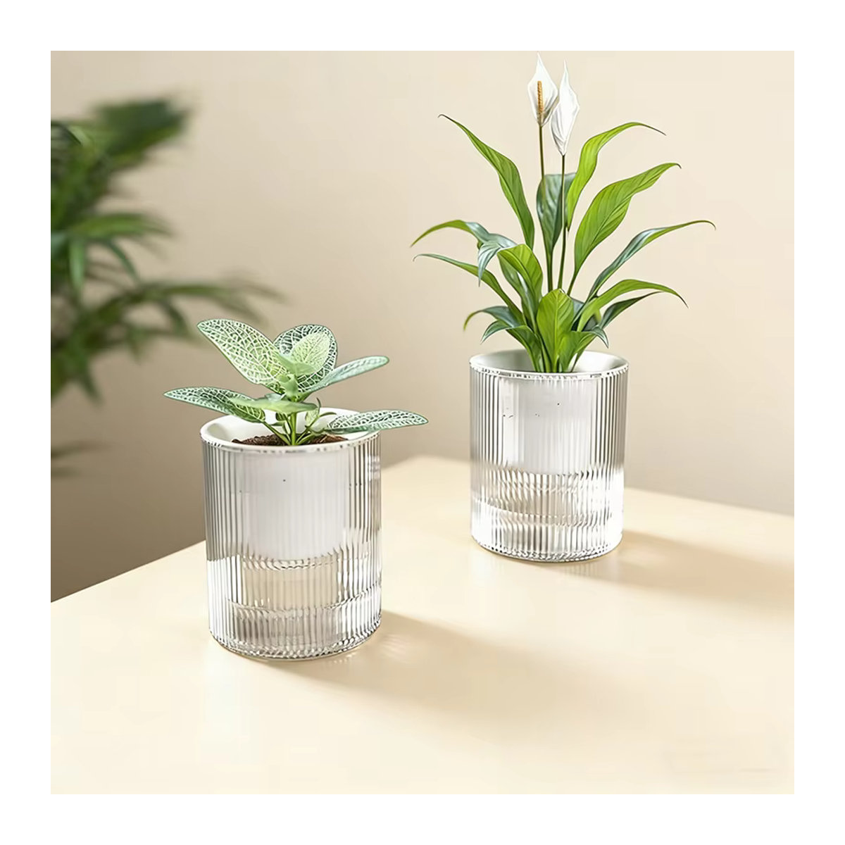 Automatischer wasserabsorbierender Blumentopf Green Luo aus transparentem Kunststoff in Grün - Bild 2