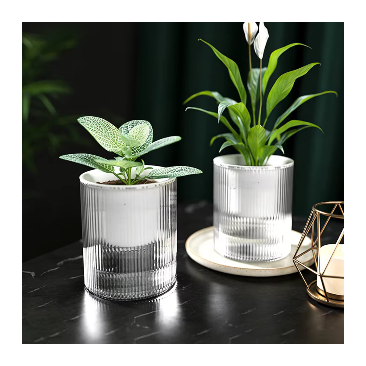 Automatischer wasserabsorbierender Blumentopf Green Luo aus transparentem Kunststoff in Grün - Bild 3