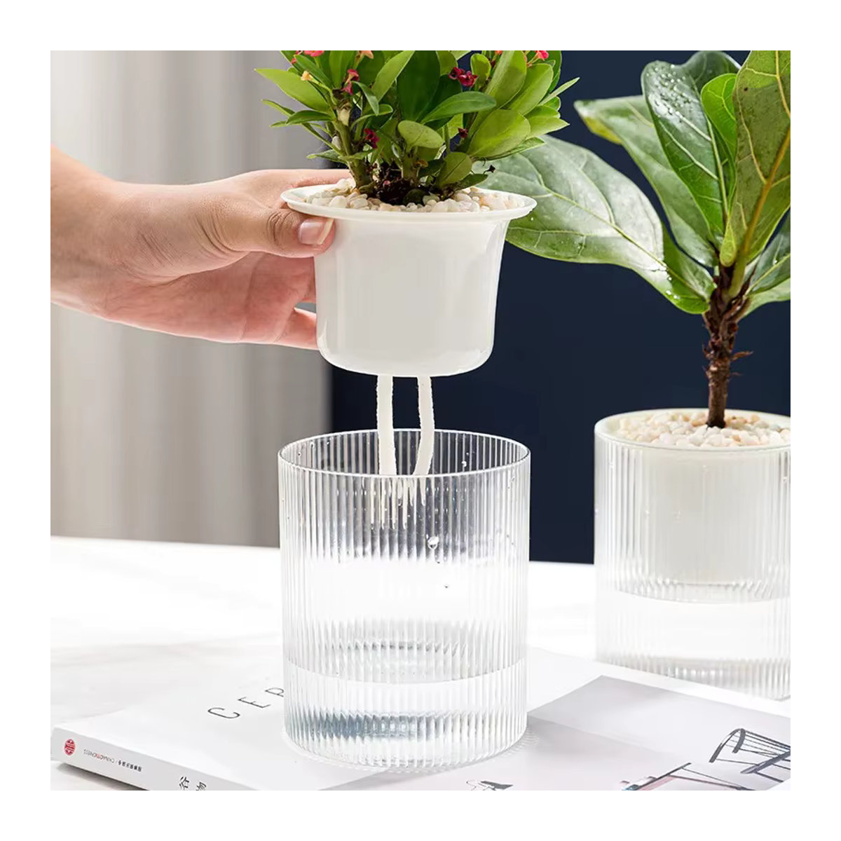 Automatischer wasserabsorbierender Blumentopf Green Luo aus transparentem Kunststoff in Grün - Bild 5