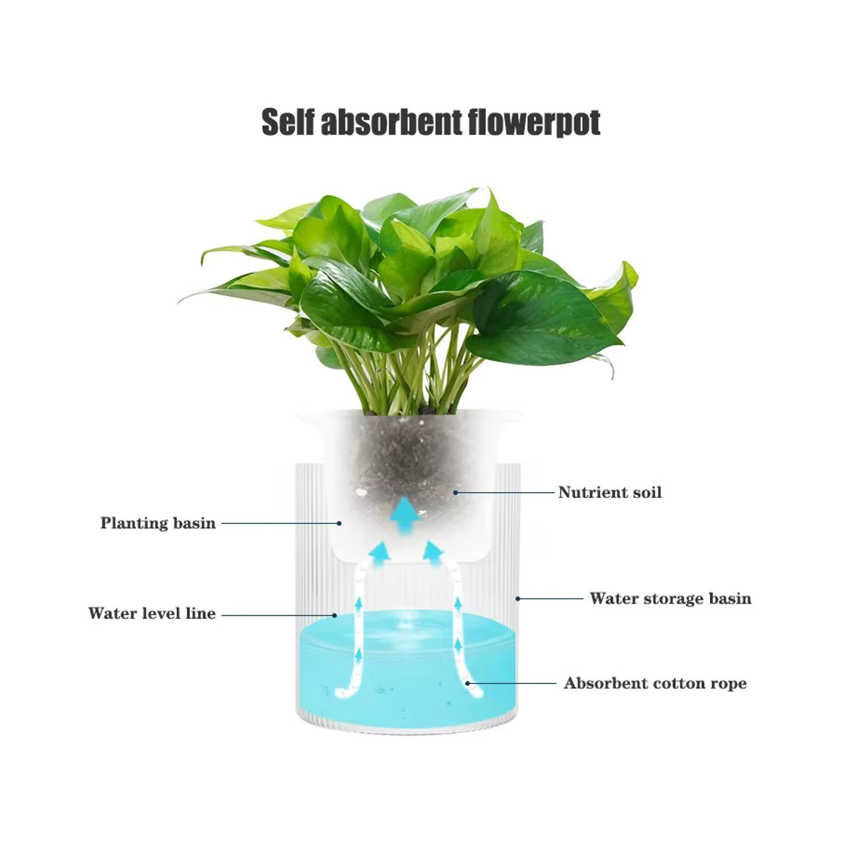Automatischer wasserabsorbierender Blumentopf Green Luo aus transparentem Kunststoff in Grün - Bild 6