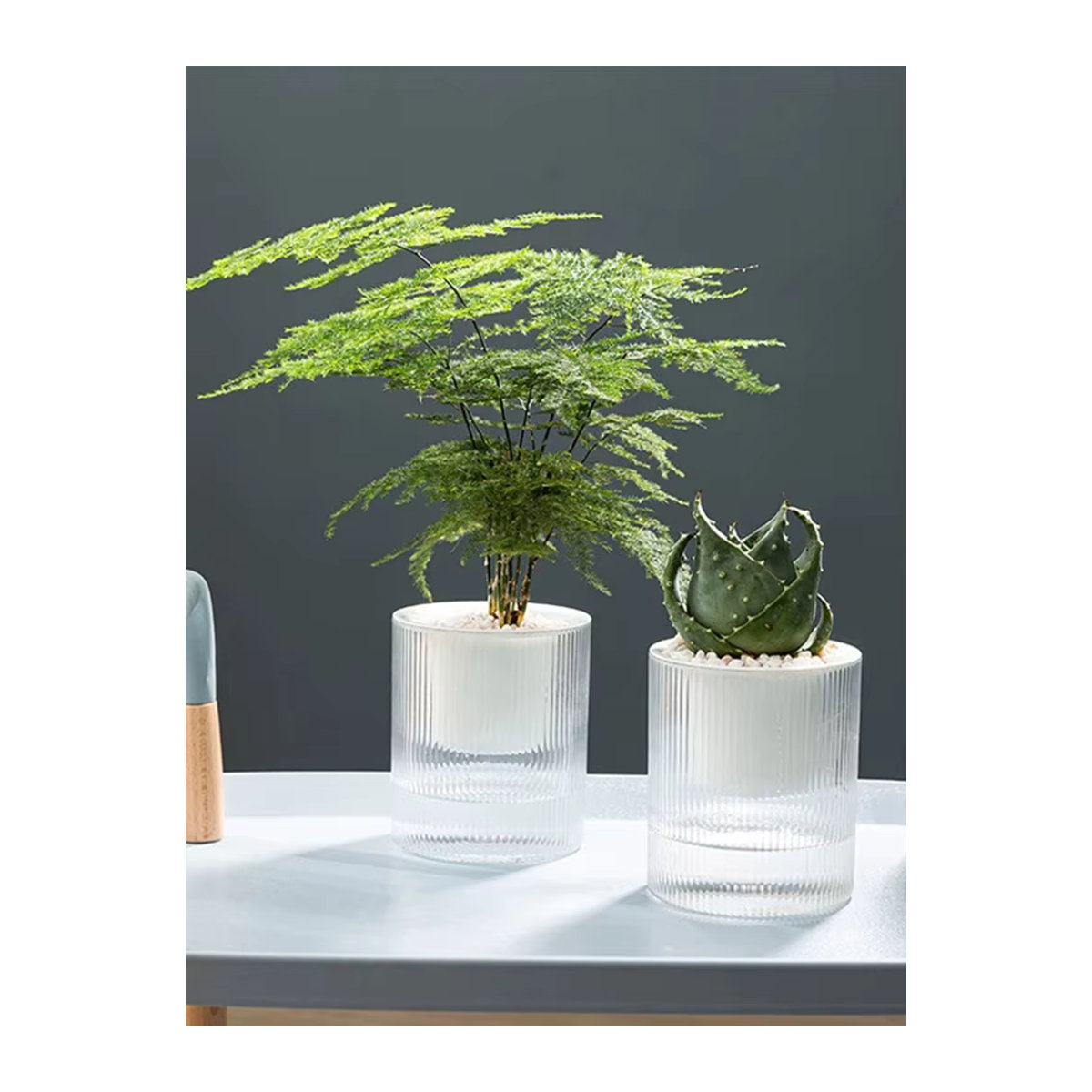 Automatischer wasserabsorbierender Blumentopf Green Luo aus transparentem Kunststoff in Grün - Bild 7