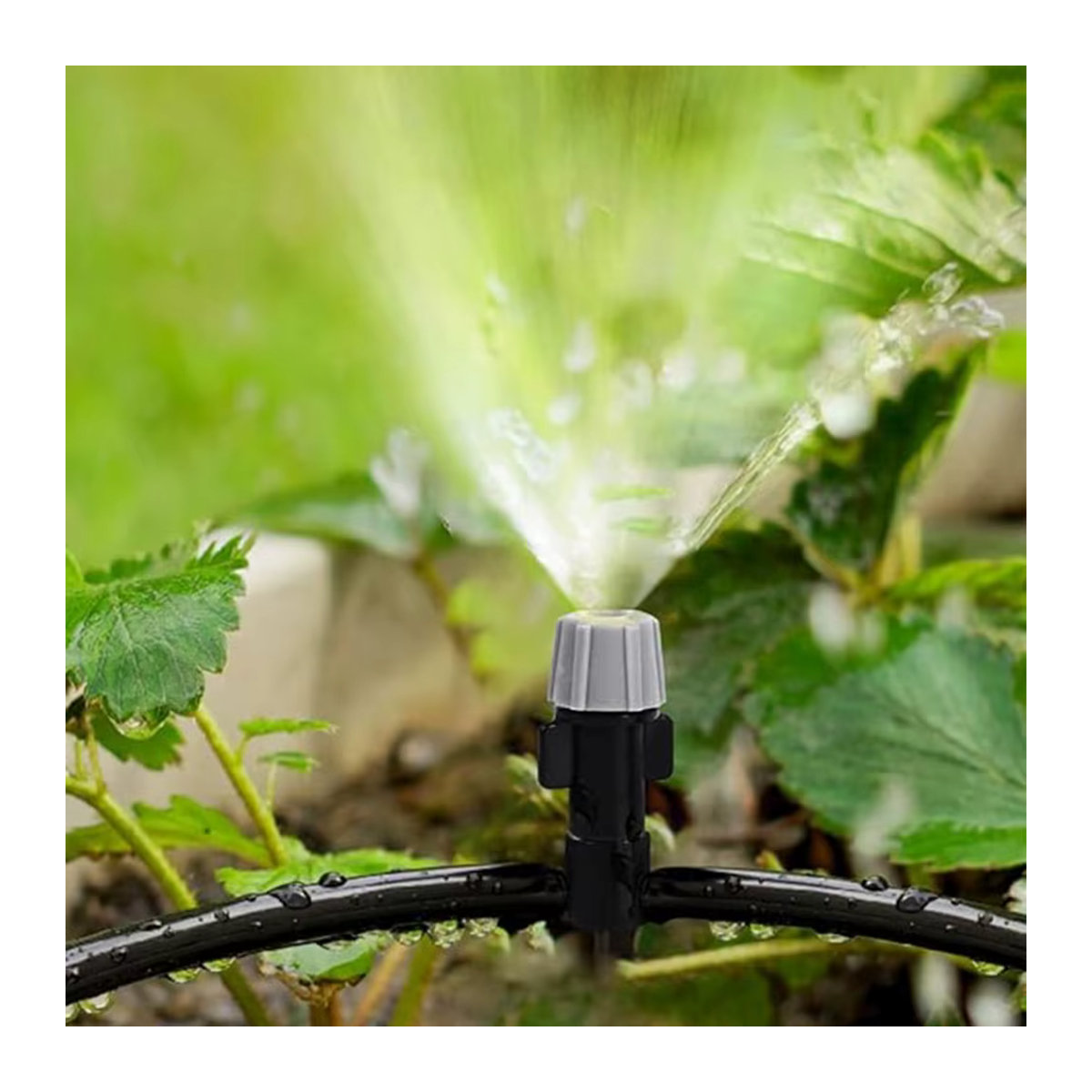 Automatisches Bewässerungssystem mit Nebeldüsen und 4/7 mm T-Anschluss für Terrasse und Garten, Schwarz - Bild 1