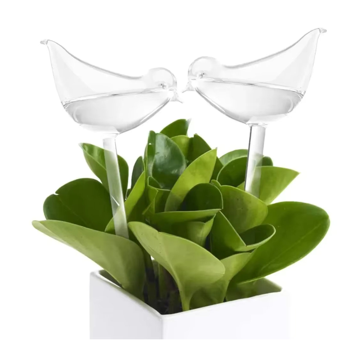 Automatisches Blumenbewässerungsgerät in Vogelform mit Glaskugeln zur selbstständigen Tropfbewässerung für Garten und Zuhause - Bild 2