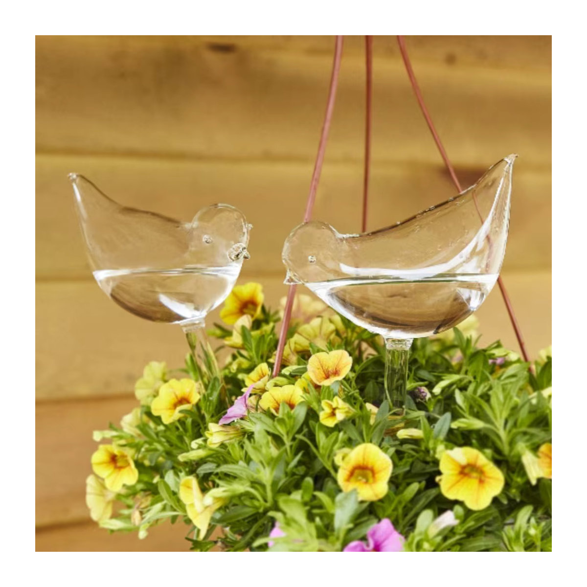 Automatisches Blumenbewässerungsgerät in Vogelform mit Glaskugeln zur selbstständigen Tropfbewässerung für Garten und Zuhause - Bild 6