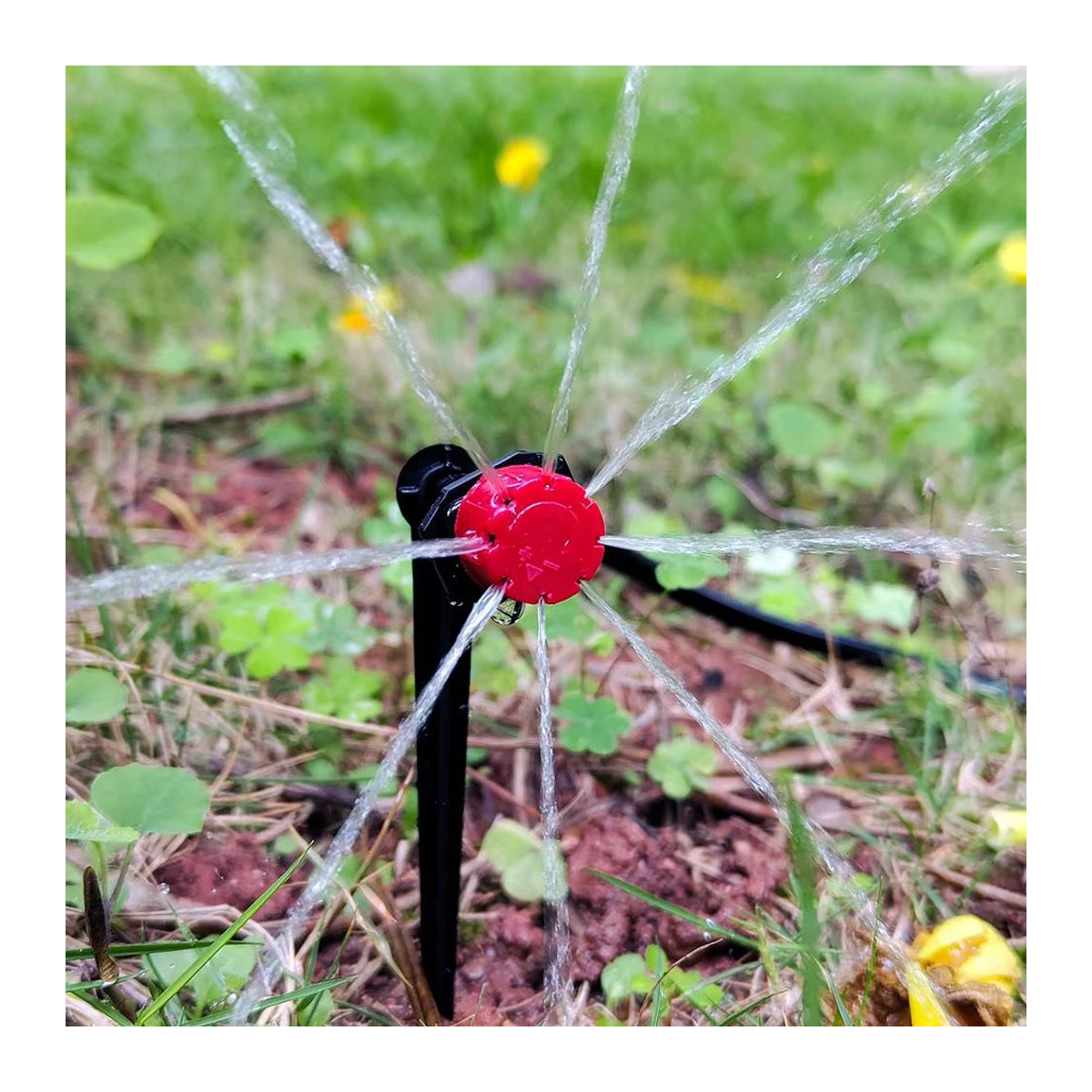 Automatisches Garten Tropfbewässerungssystem Kit mit einstellbaren Düsen und Micro-Sprinklern für Bonsai, Topfpflanzen, Blumen und Gemüse, Schwarz, 5m - Bild 3