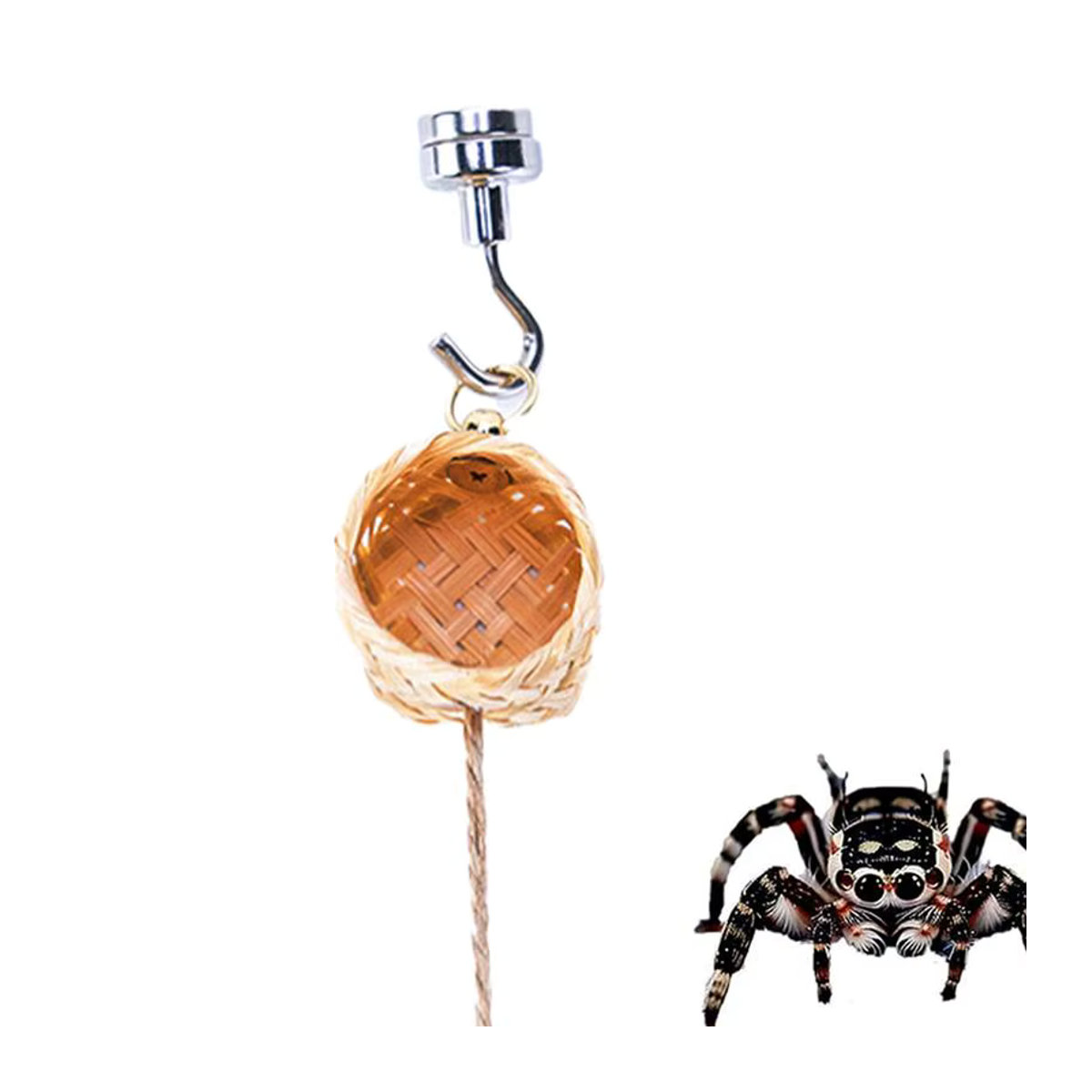 awa y Spinnen-Lebensraum für Springspinnen aus Rattan in Braun mit Kletterseil und hängender geometrischer Form - Bild 2