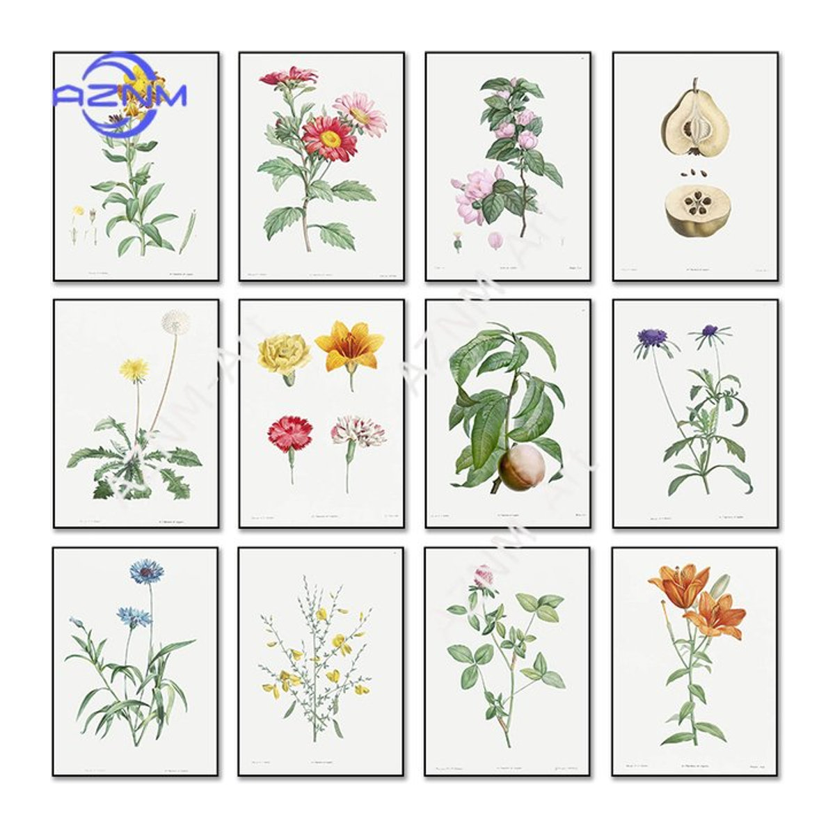 AZNM Vintage Blumenillustration Wandkunst als Leinwandgemälde in Weiß im Hochformat - Bild 1